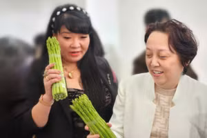 Bà Phạm Khánh Phong Lan - Giám đốc Sở An toàn Thực phẩm TPHCM tại buổi làm việc. (Ảnh: L.N).