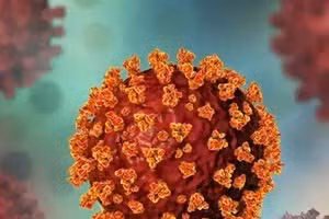 Hình ảnh biến chủng NB.1.8.1. 