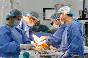Ê-kíp thực hiện phẫu thuật.