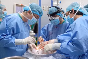  Bệnh viện Quân y 175 thực hiện thành công ca ghép tạng đầu tiên từ người hiến chết não.