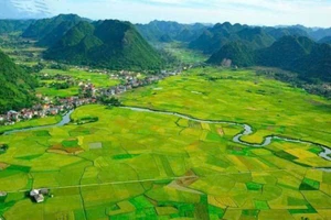 Đề xuất mới của Chính phủ được kỳ vọng tháo gỡ nhiều vướng mắc trong Luật Đất đai. 
