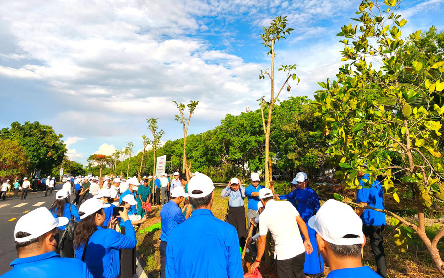 Đoàn viên thanh niên ra quân trồng cây trên các tuyến đường. trong-cay-1.jpg