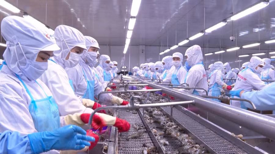 Xuất khẩu thủy sản được xem là thế mạnh của tỉnh Cà Mau.