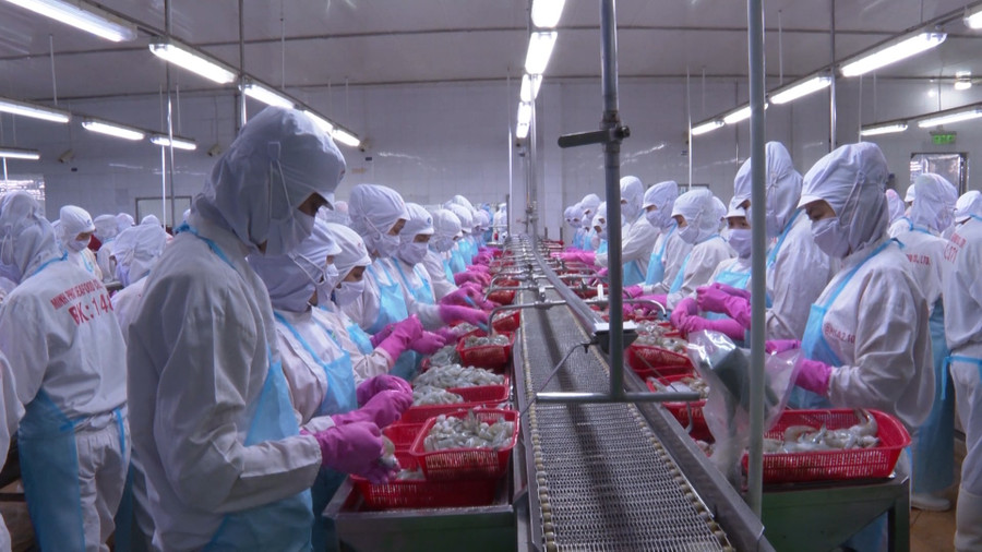 Kim ngạch xuất khẩu thủy sản của Cà Mau tăng 7,4% so với cùng kỳ. Ảnh: Quách Mến.