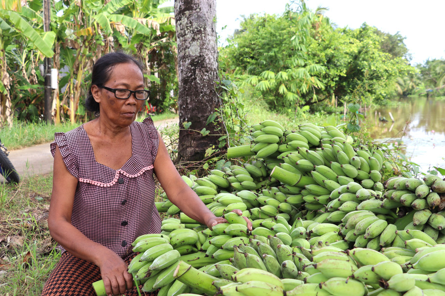 Một hộ đồng bào dân tộc ở xã Đá Bạc, Cà Mau. lao-dong-2.jpg