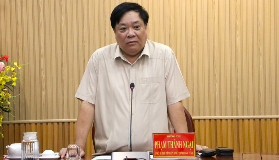 Ông Phạm Thành Ngại, Chủ tịch UBND tỉnh Cà Mau phát biểu chỉ đạo tại hội nghị. hoi-nghi-hang-gia-1.jpg