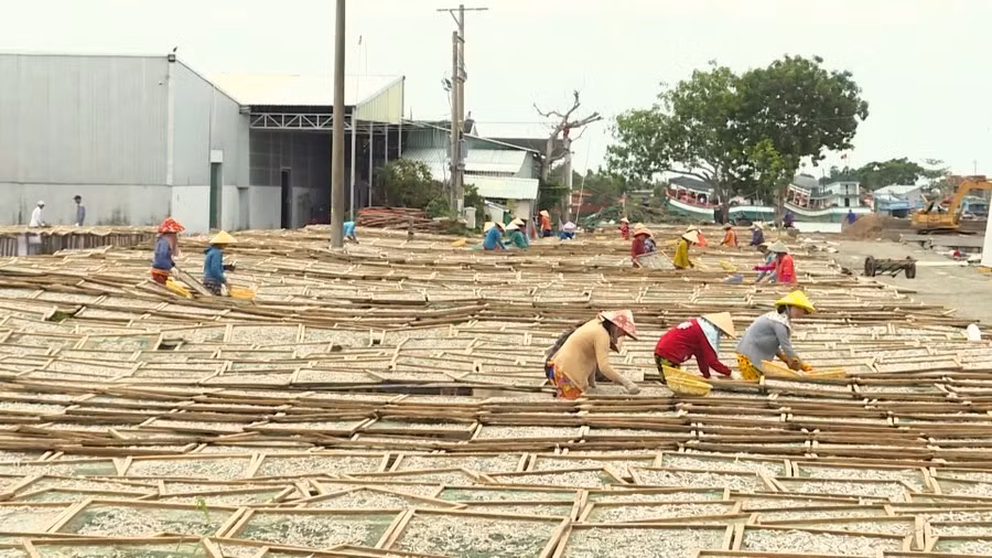 Tỉnh Cà Mau tạo điều kiện cho đồng bào DTTS được học nghề, có việc làm ổn định.