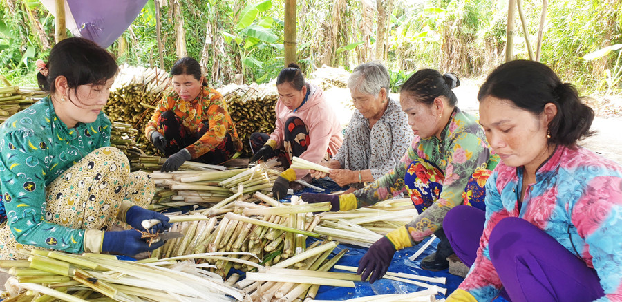 Nhiều hộ vươn lên thoát nghèo từ trồng, chế biến các sản phẩm từ bồn bồn. bon-bon-1.jpg