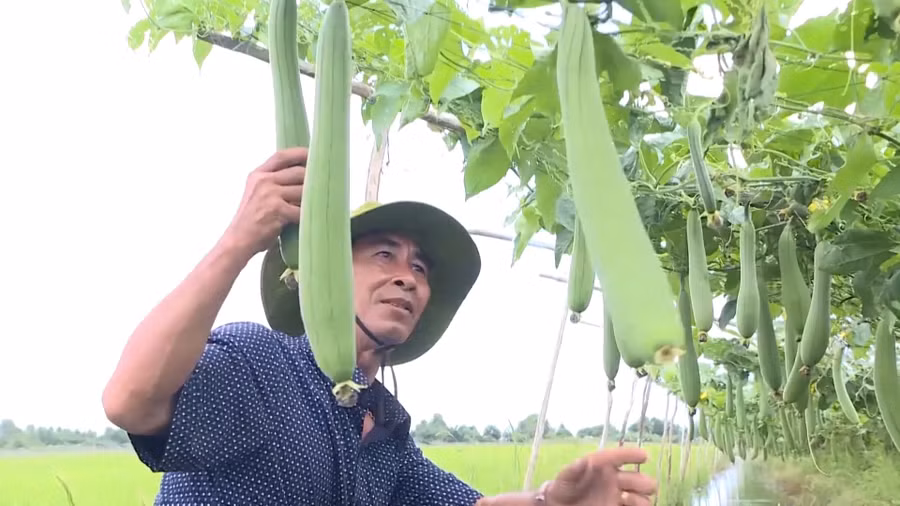 Tỉnh Cà Mau hỗ trợ nhiều mô hình sinh kế cho hộ nghèo.