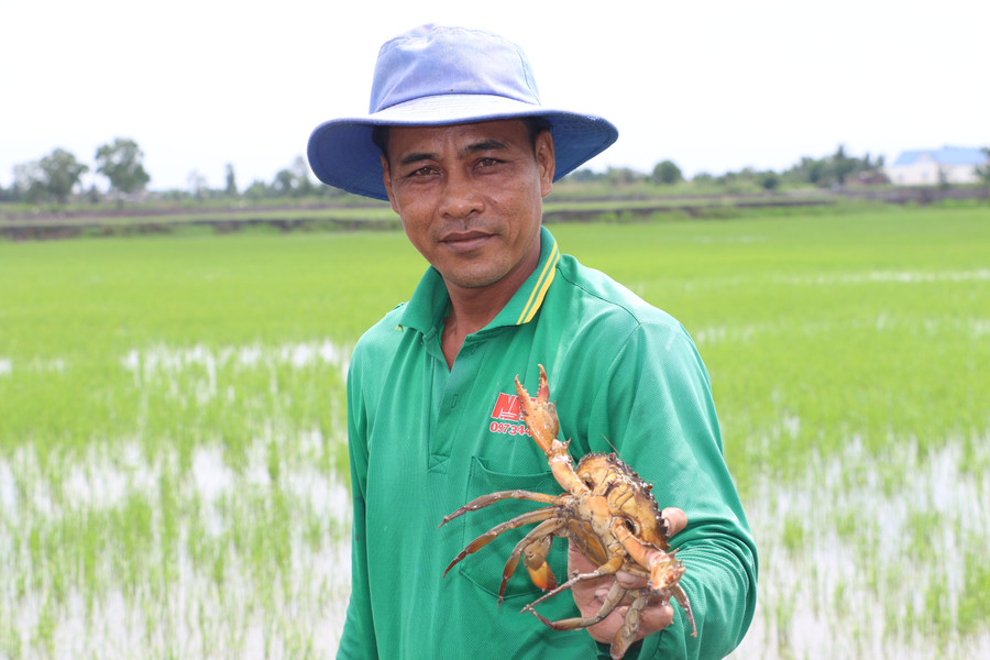 Một hộ đồng bào dân tộc Khmer ở xã Tân Lộc với mô hình nuôi tôm cua kết hợp trồng lúa.