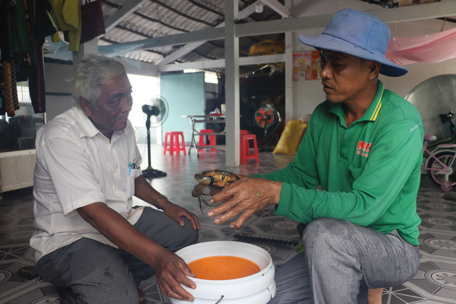 Nhiều hộ vùng đồng bào DTTS ở Cà Mau được hỗ trợ dự án phát triển sản xuất.