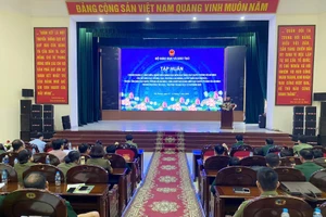 Quang cảnh lớp tập huấn.