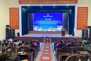 Quang cảnh lớp tập huấn.
