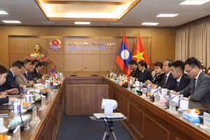 Quang cảnh buổi làm việc.