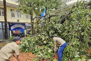 Trường THCS Chương Dương (quận Hoàn Kiếm) khắc phục hậu quả của cơn bão số 3.