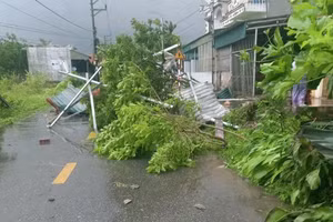 Giông lốc khiến nhiều cây xanh trên các tuyến phố gãy đổ.