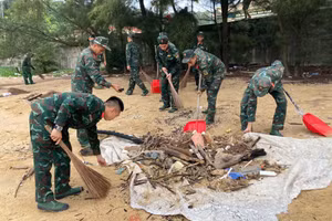 Đoàn Thanh niên các đơn vị lực lượng vũ trang đóng quân trên đảo Trần ra quân làm sạch môi trường biển.