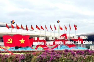 Khu vực Cung quy hoạch, hội chợ và triển lãm tỉnh rực rỡ cờ, hoa.