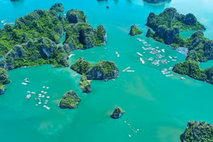 Vịnh Bái Tử Long.