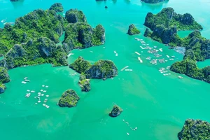 Vịnh Bái Tử Long.