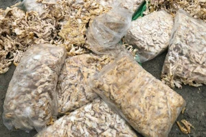 Số chân gà bị bắt giữ.