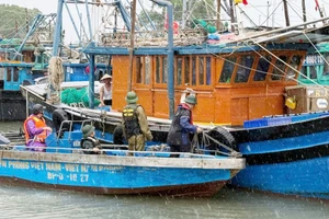 Cán bộ Đồn Biên phòng Trà Cổ tiếp cận tàu cá của ngư dân để tuyên truyền và yêu cầu người dân lên bờ tránh bão.