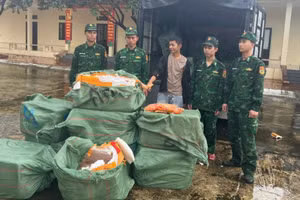 Số tang vật bị bắt giữ. Ảnh: TG