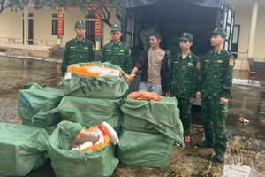 Số tang vật bị bắt giữ. Ảnh: TG