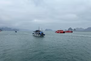 Vịnh Bái Tử Long.