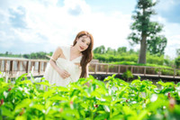 nha-phuong-2.jpg