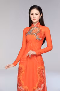 Hoa hậu Huỳnh Trần Ý Nhi (10).JPG