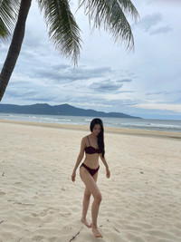 tieu-vy-1.jpg