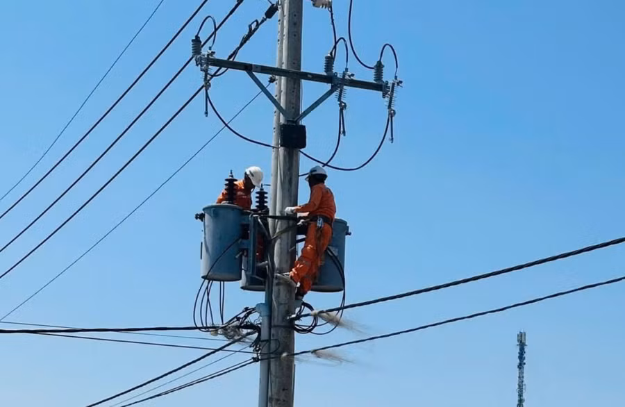 Nhân viên điện lực bảo trì lưới điện tại xã Thạnh An, TPHCM. Ảnh: EVNHCMC.