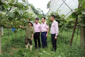 Lãnh đạo, cán bộ Ngân hàng Chính sách xã hội tỉnh Cao Bằng tìm hiểu thực tế, hỗ trợ vốn vay mô hình giảm nghèo.