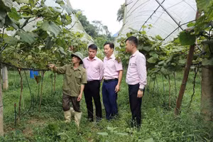 Lãnh đạo, cán bộ Ngân hàng Chính sách xã hội tỉnh Cao Bằng tìm hiểu thực tế, hỗ trợ vốn vay mô hình giảm nghèo.