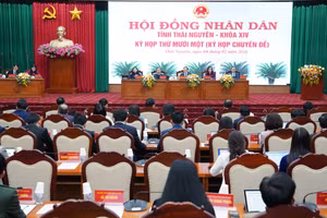 Kỳ họp thứ mười một (kỳ họp chuyên đề), HĐND tỉnh Thái Nguyên.