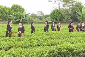 Hát Soọng Cô gắn chặt với đời sống người dân tộc Sán Dìu Nam Hòa.