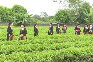 Hát Soọng Cô gắn chặt với đời sống người dân tộc Sán Dìu Nam Hòa.