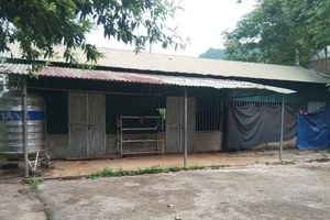 Căn phòng tạm của thầy trò điểm trường Khảm Khau (Trường Tiểu học xã Quốc Khánh, huyện Tràng Định, tỉnh Lạng Sơn).
