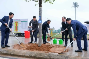 Thường trực Tỉnh ủy Thái Nguyên trồng cây hai bên đường vào sân vận động tỉnh.