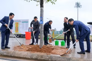 Thường trực Tỉnh ủy Thái Nguyên trồng cây hai bên đường vào sân vận động tỉnh.