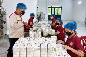 HTX Nông nghiệp Tiên Phong tạo việc làm thường xuyên cho gần 20 lao động địa phương,