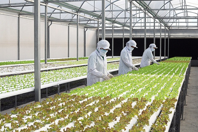 Nền nông nghiệp hiện đại phải gắn liền với nhà khoa học Nền nông nghiệp hiện đại phải gắn liền với nhà khoa học