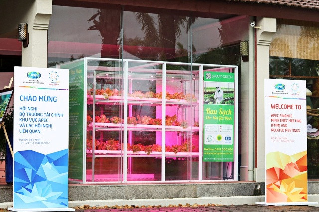 Sản phẩm rau sạch của Smartgreen được phục vụ quan khách tham dự hội nghị Apec 2017 Sản phẩm rau sạch của Smartgreen được phục vụ quan khách tham dự hội nghị Apec 2017