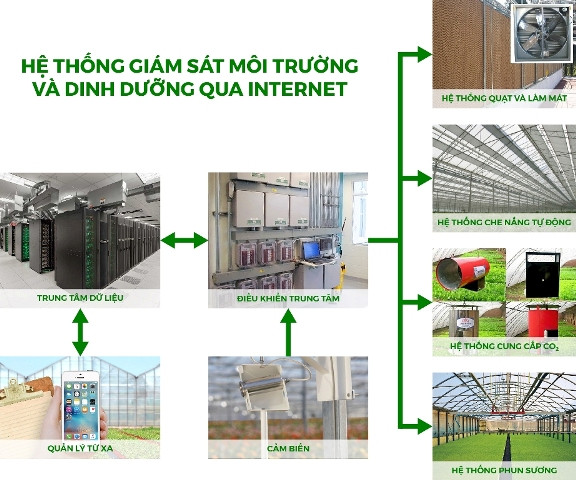 Hệ thống giám sát thông minh do chính Smartgreen phát triển Hệ thống giám sát thông minh do chính Smartgreen phát triển