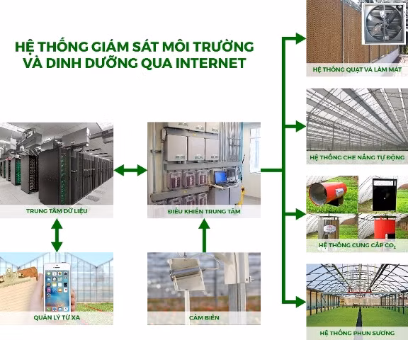 Hệ thống giám sát thông minh do chính Smartgreen phát triển Hệ thống giám sát thông minh do chính Smartgreen phát triển