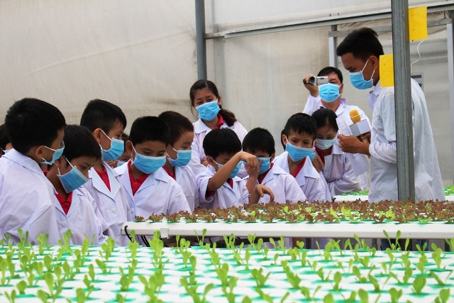 Các em học sinh trường Lê Ngọc Hân chăm chú quan sát cây rau mầm tại Smartgreen Các em học sinh trường Lê Ngọc Hân chăm chú quan sát cây rau mầm tại Smartgreen