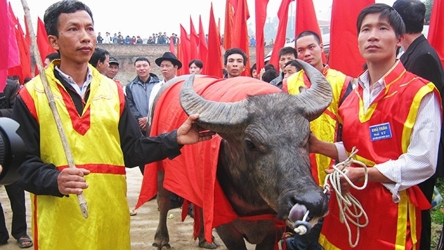 Nhiều ý kiến tranh cãi giữ hay bỏ các lễ hội có tính chất bạo lực. (Ảnh: Báo Thời Nay)