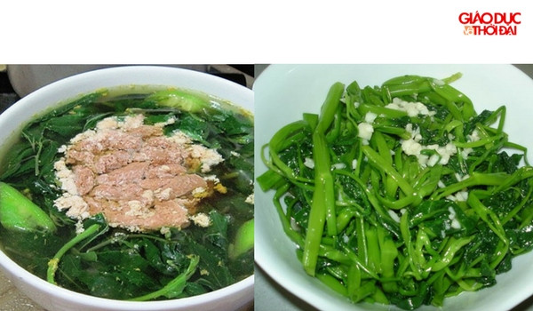 Chọn rau “tươi” để chế biến những món ngon và bổ dưỡng ngày hè Chọn rau “tươi” để chế biến những món ngon và bổ dưỡng ngày hè