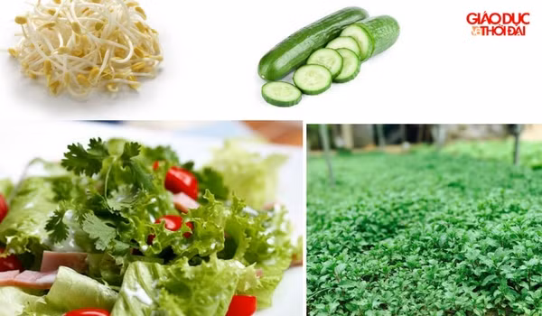 Làm phong phú thêm thực đơn mùa hè.